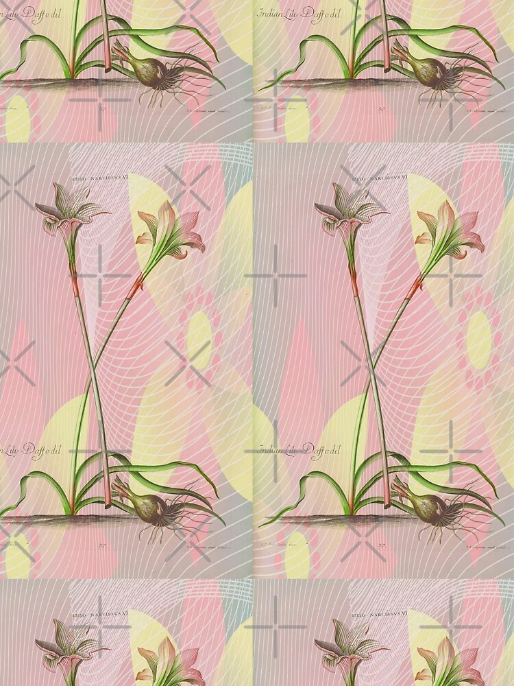 Botanical Print-Indian Lily Daffodil by Matlgirl