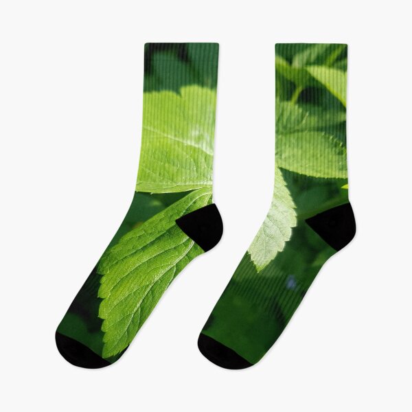 Item preview, Leaves in the Light designed and sold by Colorful Misfits.