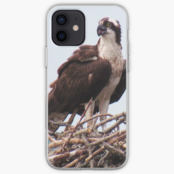 osprey iphone case