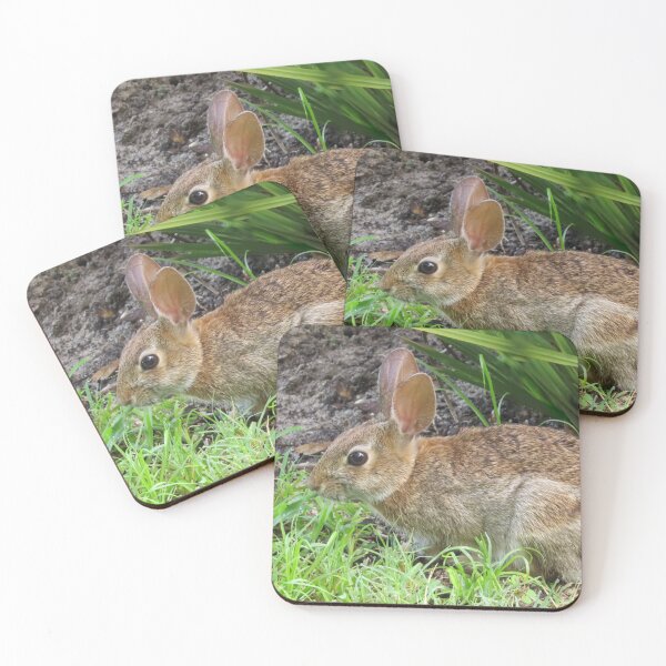 Item preview, Cottontail Rabbit designed and sold by Zina Stromberg.