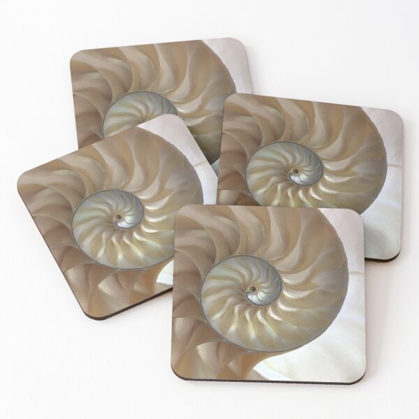 Item preview, Spiral Nautilus Shell designed and sold by StudioKDesign.
