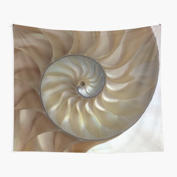 Fibonacci Tapestry By Wreninflight Redbubble