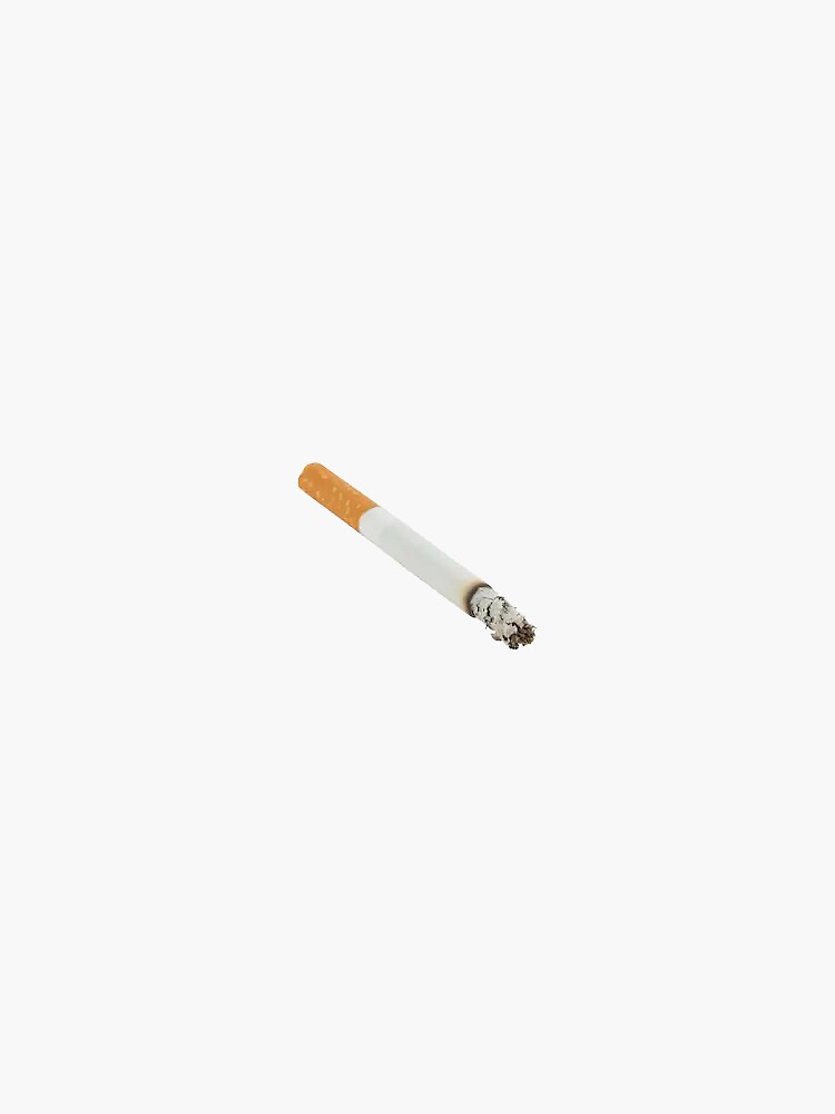 power plug to cigarette lighter 12V Cigarette Lighter Power Plug Adapter