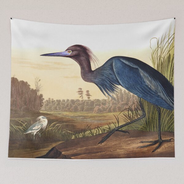 Item preview, Little Blue Heron by John James Audubon designed and sold by TheCurators.