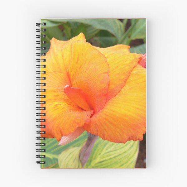 Item preview, Orange Flower at Animal Kingdom designed and sold by Monika's Shop.