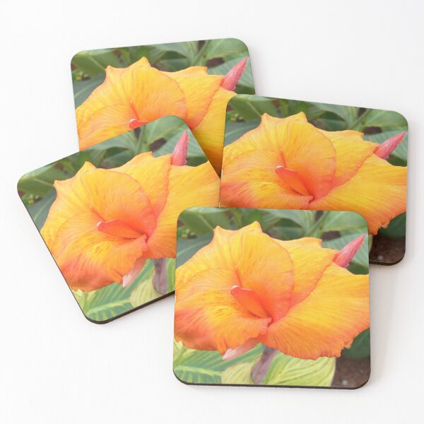 Item preview, Orange Flower at Animal Kingdom designed and sold by Monika's Shop.