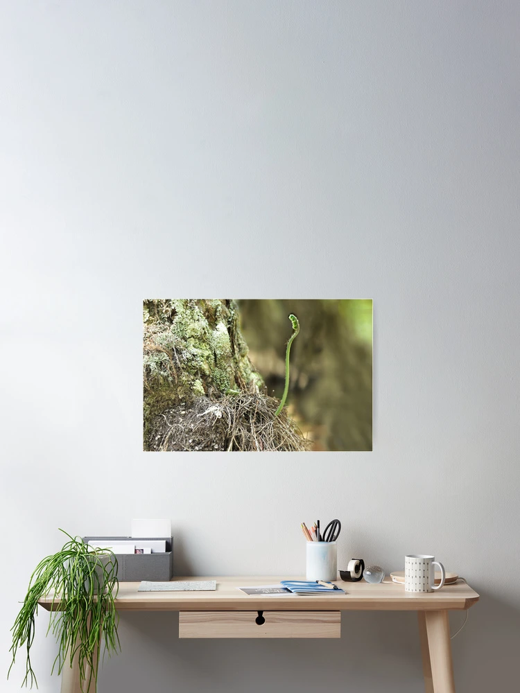 Aperçu 2 sur 3. Poster avec l'œuvre Welcome Spring créée et vendue par John Kapusta.