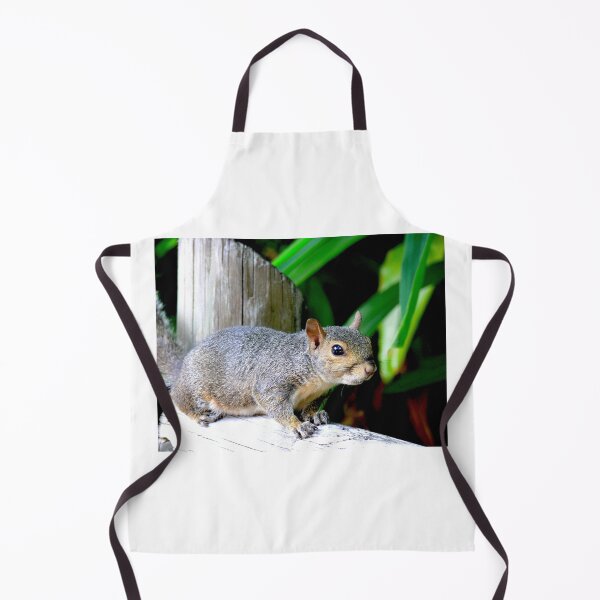 Item preview, Curious Squirrel at Busch Gardens, Tampa, Florida designed and sold by Monika's Shop.