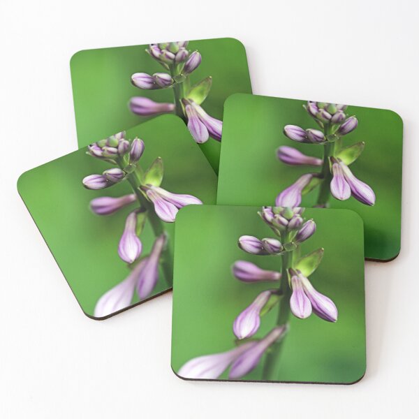 Item preview, Purple Hosta Buds designed and sold by Deb Oppermann.