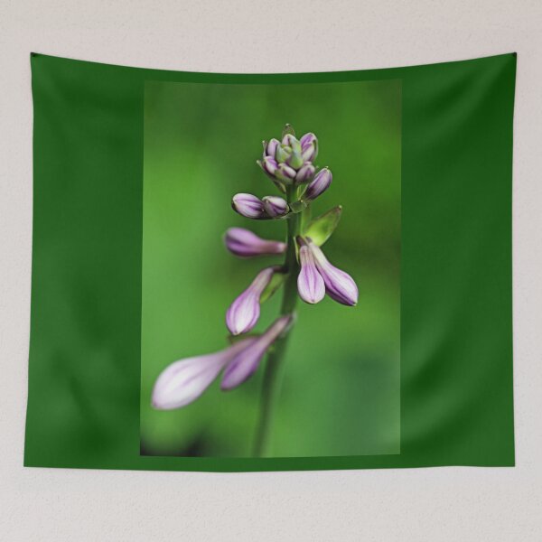 Item preview, Purple Hosta Buds designed and sold by Deb Oppermann.