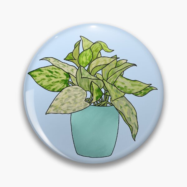 Item preview, Variegated Marble Queen Pothos in Light Blue Pot designed and sold by ColsonC.