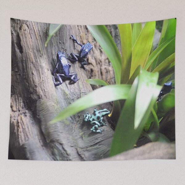 Item preview, POISON DART FROGS designed and sold by BOLLA67.