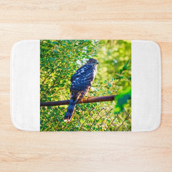 Item preview, Female Red Tailed Hawk designed and sold by BeccaPhoto.