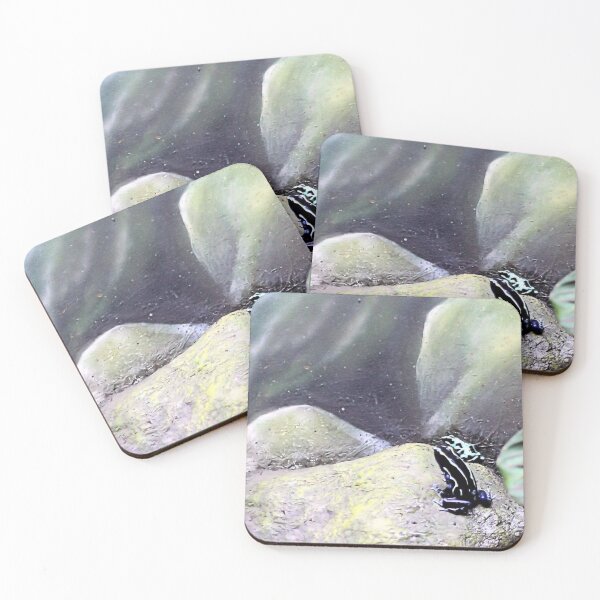 Item preview, THE PATTERNS designed and sold by BOLLA67.