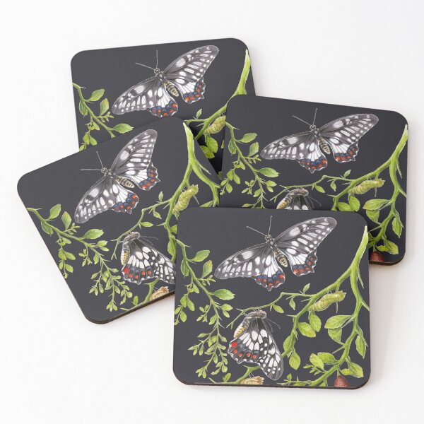 Item preview, Dainty Swallowtail Butterfly Life Cycle on Native Lime - Dark Background designed and sold by Nadya Neklioudova.