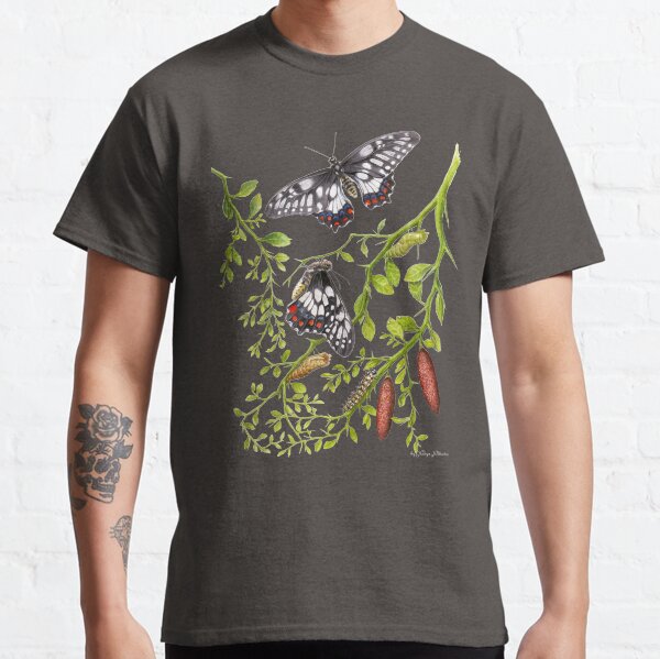 Item preview, Dainty Swallowtail Butterfly Life Cycle on Native Lime - Dark Background designed and sold by Nadya Neklioudova.
