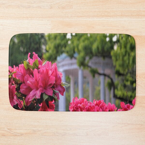 Item preview, chapel hill old well designed and sold by emilypadula.