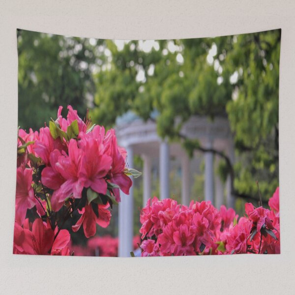 Item preview, chapel hill old well designed and sold by emilypadula.