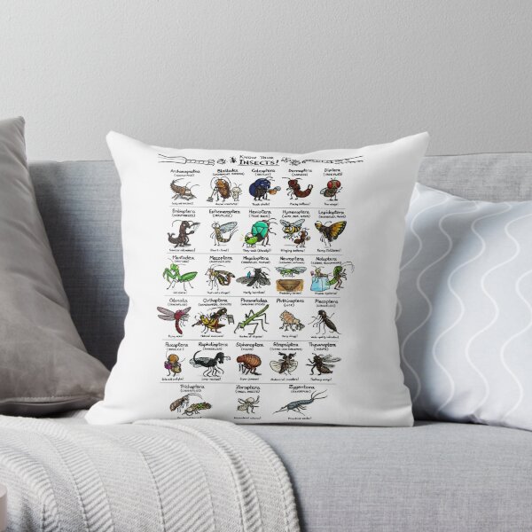Illustrated Guide to Insects Throw Pillow