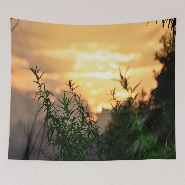 Item preview, Aesthetic Golden hour designed and sold by Mariolangstieh.