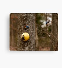 The Challenge Canvas Print