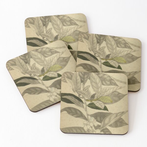 Item preview, Leaf Sketch designed and sold by BlueSpecsStudio.