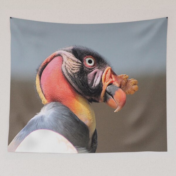 Item preview, KING VULTURE designed and sold by BOLLA67.
