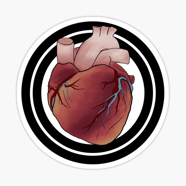 Corazon One Piece Gifts Merchandise Redbubble