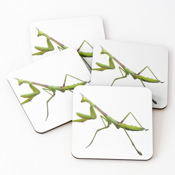 Item preview, Mantis designed and sold by lezell.