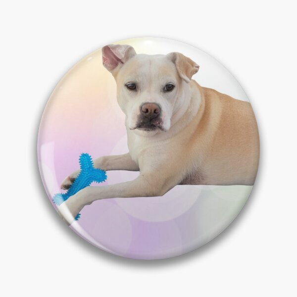 Artikelvorschau, Staffy mit blauem Knochen entworfen und verkauft von MLKbubble.