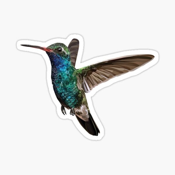 Item preview, Broad-billed hummingbird designed and sold by obscurite.