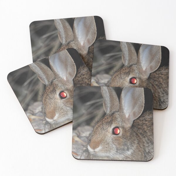 Item preview, Coronado Pass Cottontail Bunny With Red Eyes designed and sold by hendrickssdh.