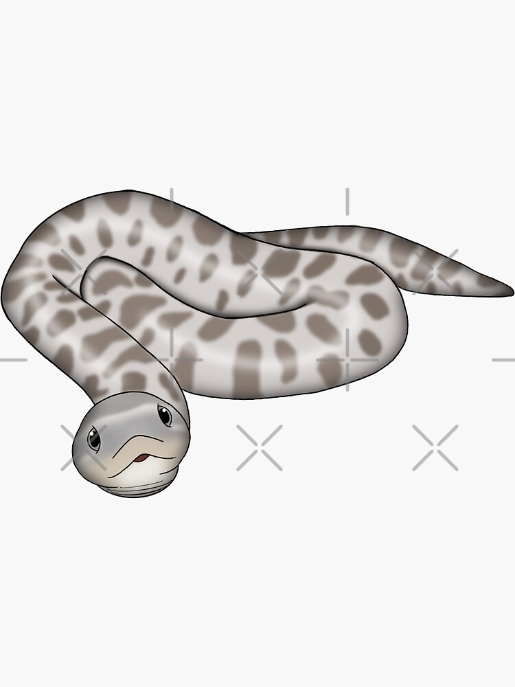 "Hognose snake " Sticker for Sale by barkerj0306 Redbubble