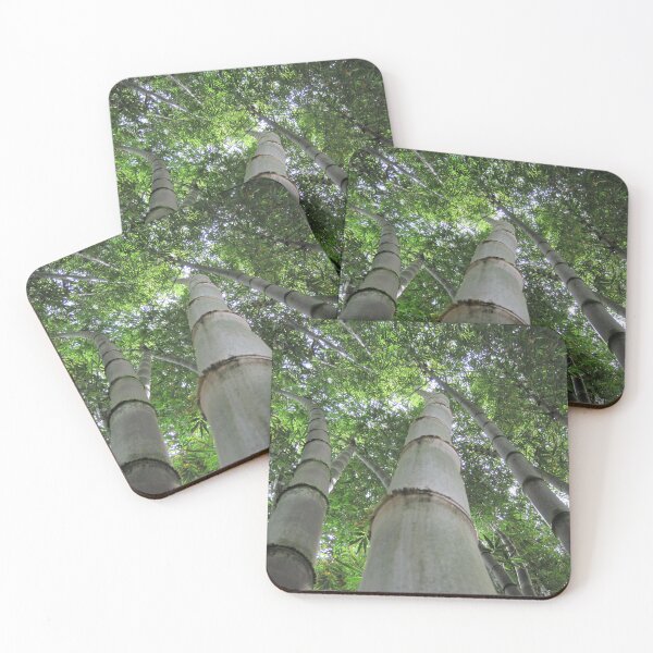 Item preview, Bamboo Forrest  designed and sold by tammyschroder.