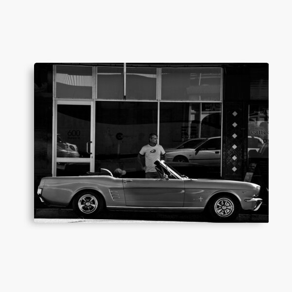 Mustang Canvas Print