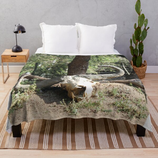 Item preview, Bull Skull in a Coastal Desert designed and sold by NicoAndBaz.