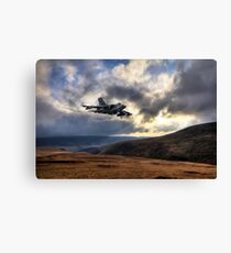 Rebel 41 Canvas Print
