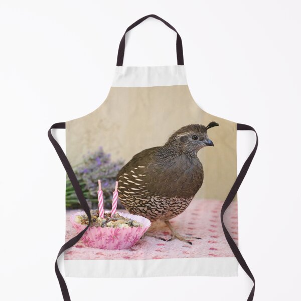 Item preview, Birthday Birdy! designed and sold by Emmaline Jones.