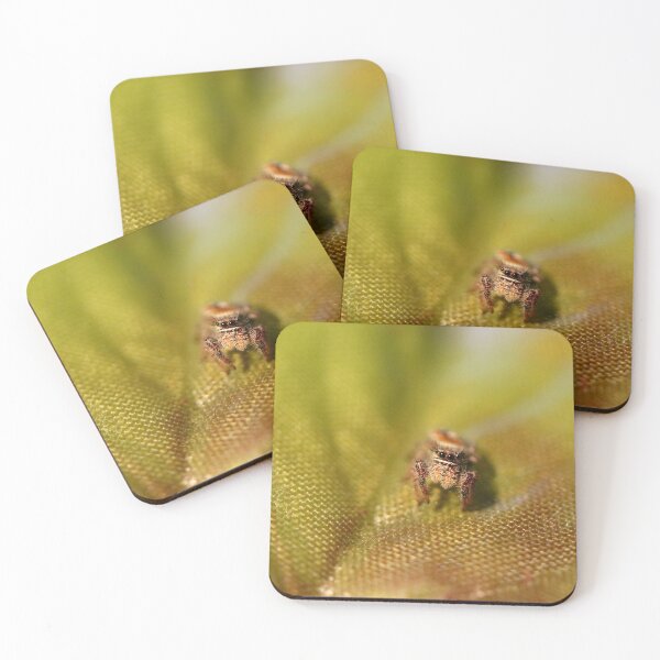Item preview, Baby Jumping Spider designed and sold by Emmaline Jones.