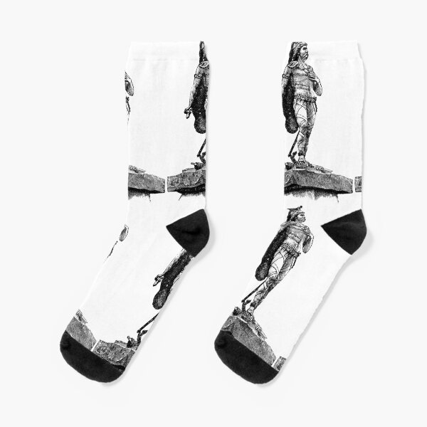 Vercingetorix Socks