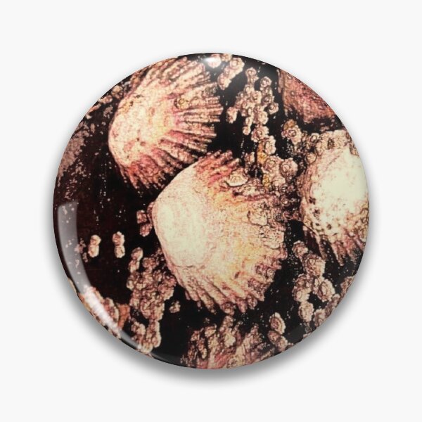 Item preview, Seashells designed and sold by MagsWilliamson.