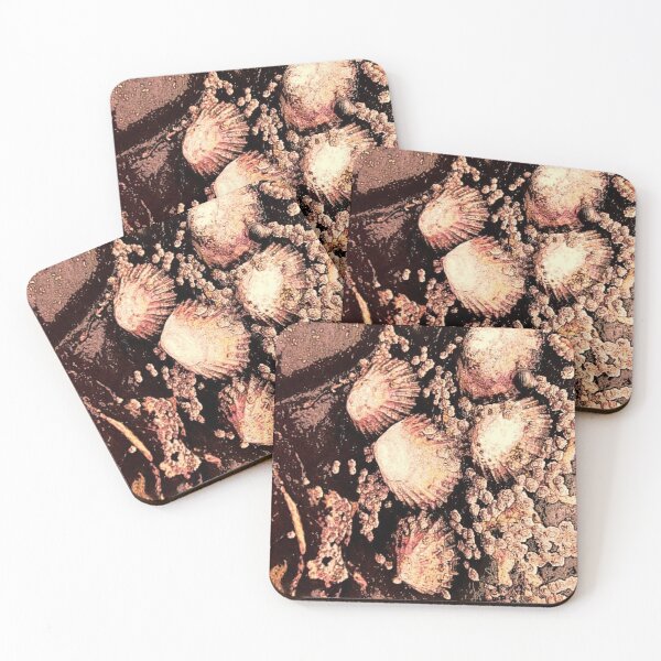 Item preview, Seashells designed and sold by MagsWilliamson.