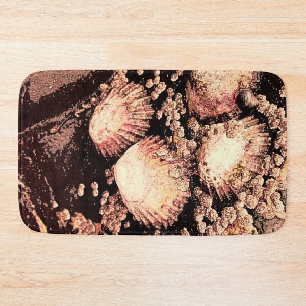 Item preview, Seashells designed and sold by MagsWilliamson.