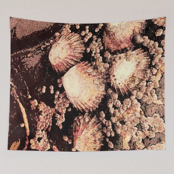 Item preview, Seashells designed and sold by MagsWilliamson.