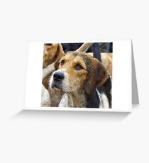 A Welsh Fox Hound Greeting Card