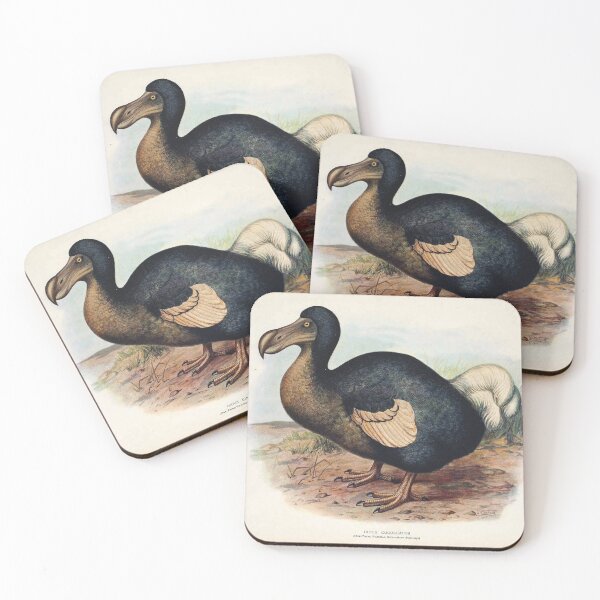 Item preview, Vintage bird plate - extinct birds - Didus cucullatus designed and sold by Gardenlibrary.