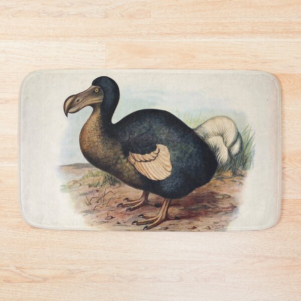 Item preview, Vintage bird plate - extinct birds - Didus cucullatus designed and sold by Gardenlibrary.
