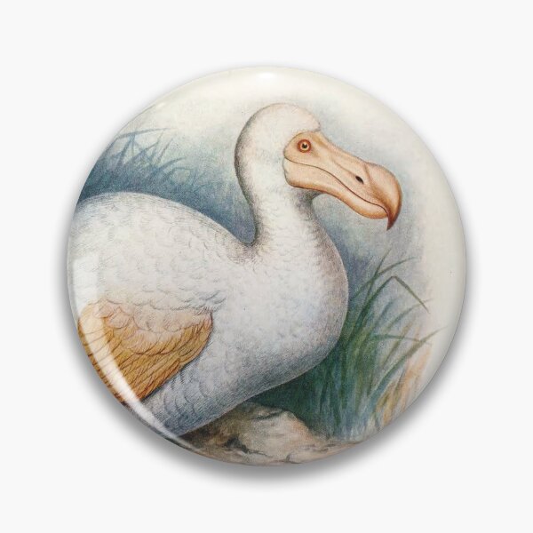 Item preview, Vintage bird plate - extinct birds - Didus solitarius designed and sold by Gardenlibrary.