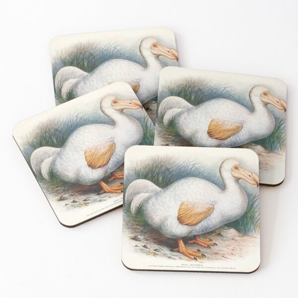 Item preview, Vintage bird plate - extinct birds - Didus solitarius designed and sold by Gardenlibrary.