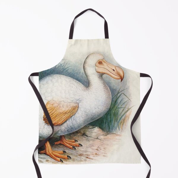 Item preview, Vintage bird plate - extinct birds - Didus solitarius designed and sold by Gardenlibrary.